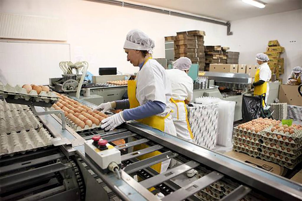 Se solicita personal para EMPACACAR HUEVOS| +100 VACANTES DISPONIBLES