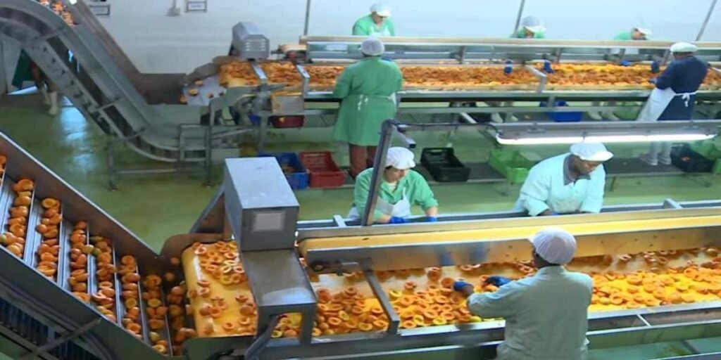 PANADERÍA REQUIERE PERSONAL DE TRABAJO INMEDIATO | FULL TIME Y PART TIME