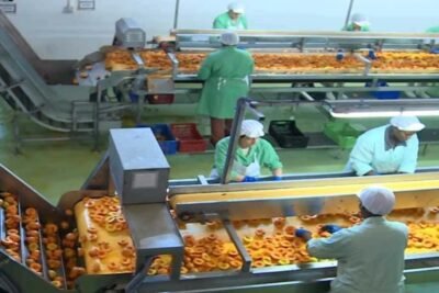 PANADERÍA REQUIERE PERSONAL DE TRABAJO INMEDIATO | FULL TIME Y PART TIME