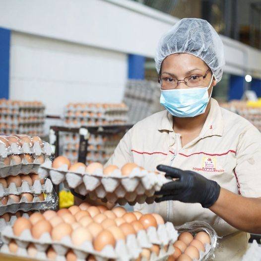 SE REQUIERE EMPACADORES DE HUEVO CON O SIN EXPERIENCIA | EMPLEOS 2025