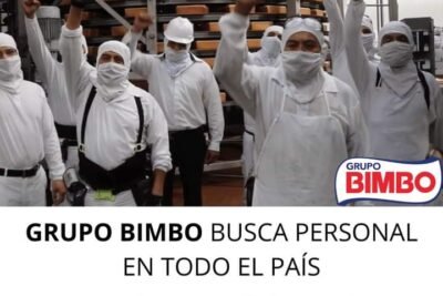 LA EMPRESA DE BIMBO BUSCA PERSONAL PARA DIVERSAS ÁREAS | FULL TIME Y PART TIME