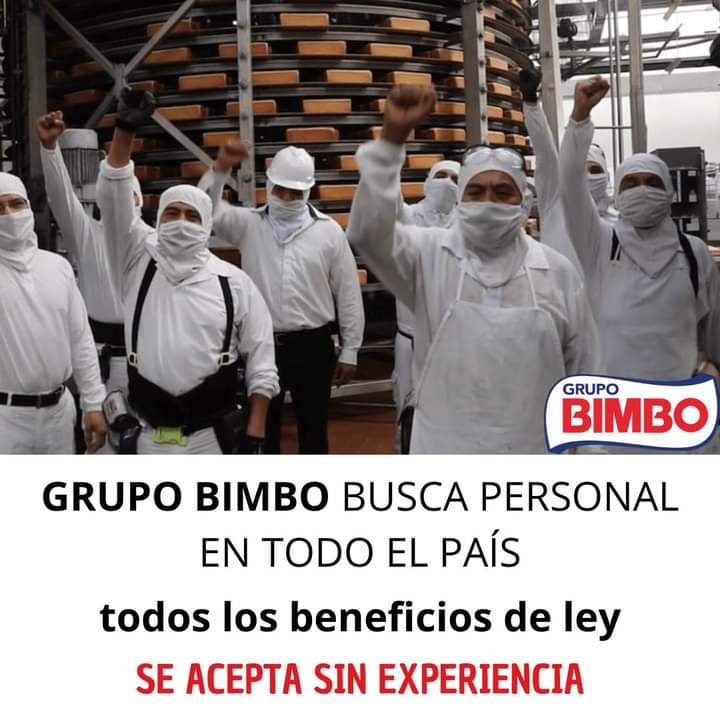 LA EMPRESA DE BIMBO BUSCA PERSONAL PARA DIVERSAS ÁREAS | FULL TIME Y PART TIME