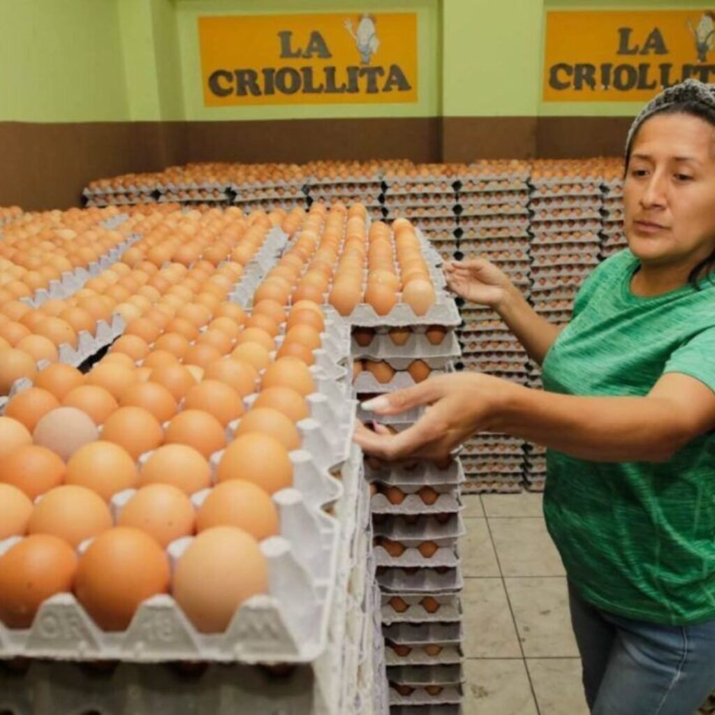 ESTAMOS BUSCANDO PERSONAS CON O SIN EXPERIENCIA PARA EMPACAR HUEVOS