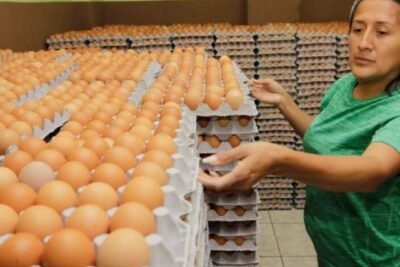 ESTAMOS BUSCANDO PERSONAS CON O SIN EXPERIENCIA PARA EMPACAR HUEVOS